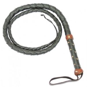 bullwhip, picture of bullwhip